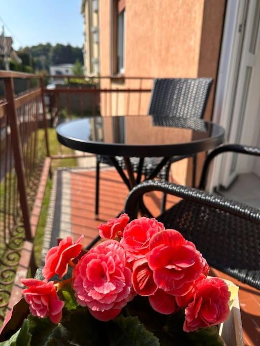 Dolce - Free Parking Appartement *